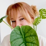 🌿 Kati_plants 🌿 растения СПб