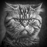 Burnt Сувениры и Подарки