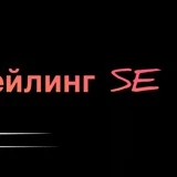 Канал Полировка и химчистка| Авто детейлинг SE| Спб