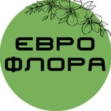 Еврофлора Краснодар