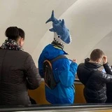 Колыбель эволюции | Тараканы города Питера Z