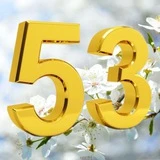 МБОУ "СОШ 53" г. Владивосток