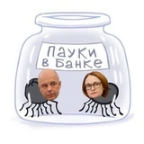 Канал Пауки в банке