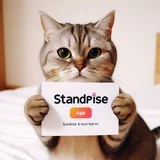 StandRise // APK