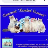 Великий Охотник Velikii Ohotnik Cattery