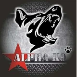 AlphaK9. Кинологический Центр в СПб