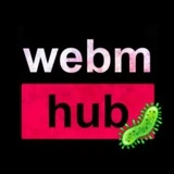 Канал WebmHub