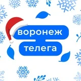 Воронеж Телега