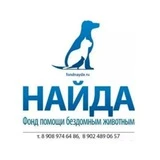 Фонд Найда Владивосток