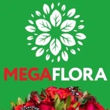 MegaFlora Старый Оскол доставка цветов