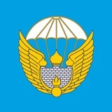 106 гвардейская дивизия ВДВ Тула