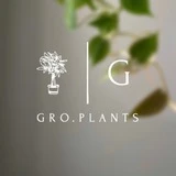 Gro.plants - растения Казань 🌿