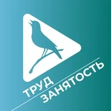 Канал Труд и занятость в Курской области