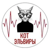 Кот Эльвиры