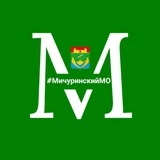 Мичуринский МО Тамбовской области