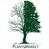 Садовый центр Plants Market l СПб и ЛО