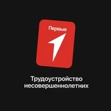 Движение Первых. Трудоустройство.Воронежская область