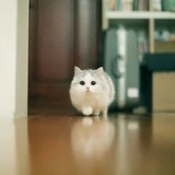 в москве лучше