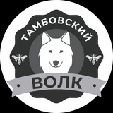 Канал Тамбовский волк