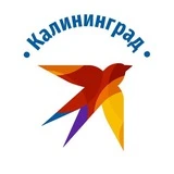 Канал КП Калининград | Новости региона