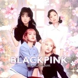 Канал BLACKPINK | YG | BLΛƆKPIИK