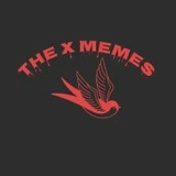 The X Мемы